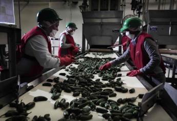 Sinaloa, cuarto lugar nacional en crecimiento industrial