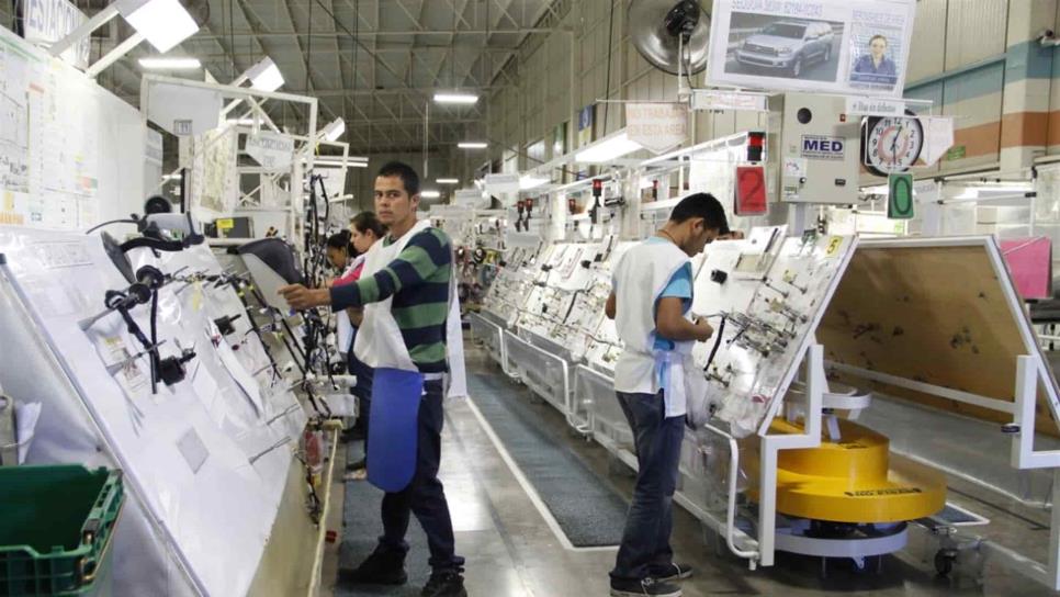 Productividad laboral en México se recupera en el primer trimestre