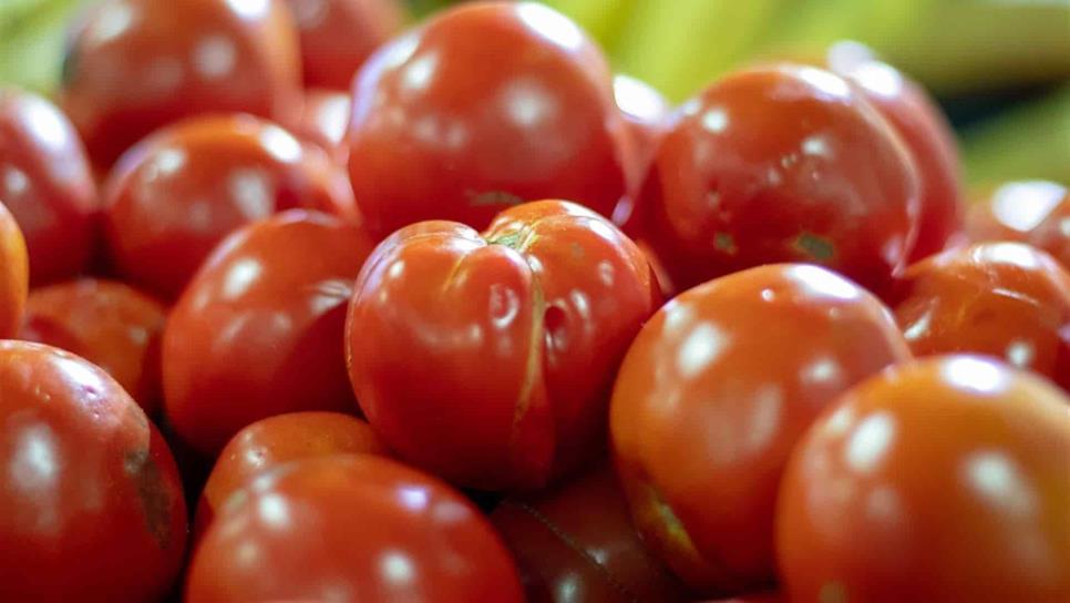 Productores piden ahora retirar arancel al tomate mexicano