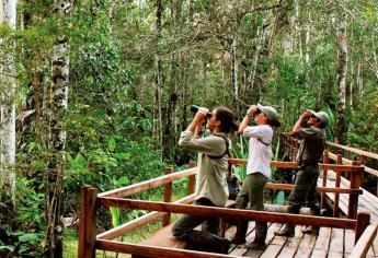 Conabio pide transformar el turismo hacia la sustentabilidad