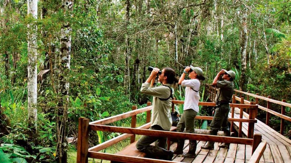 Conabio pide transformar el turismo hacia la sustentabilidad