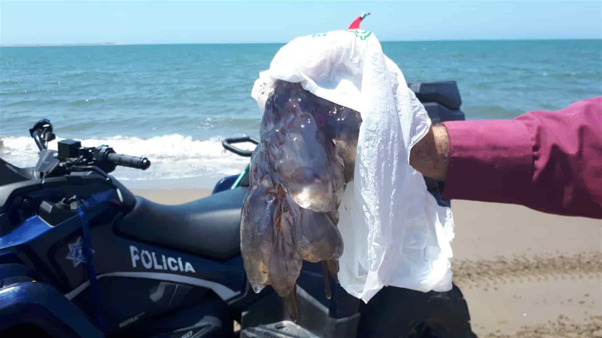 FOTOS: Ernesto Torres.