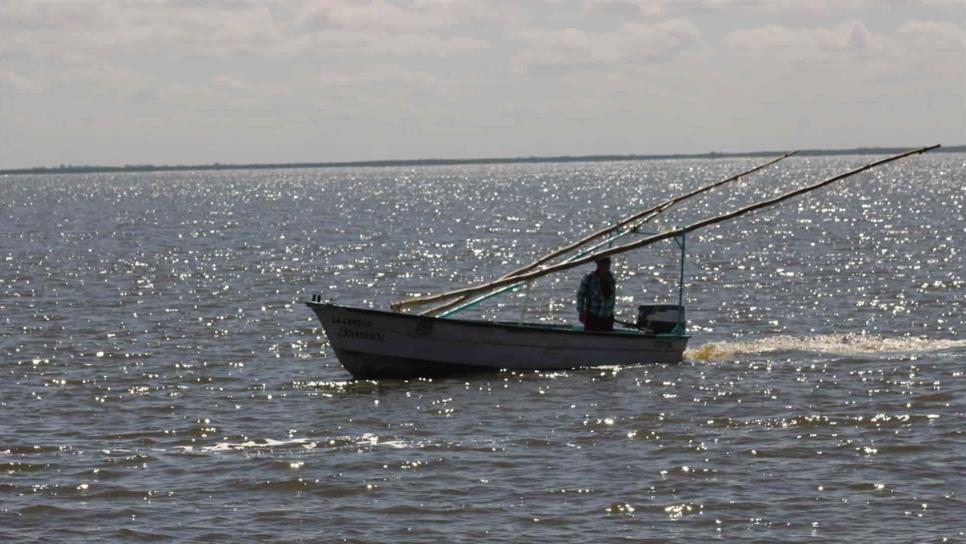 Pescadores recibirán apoyo de empleo temporal: Quirino Ordaz