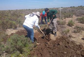 Rastreadoras por la Paz encuentran otro cuerpo en La Robalera