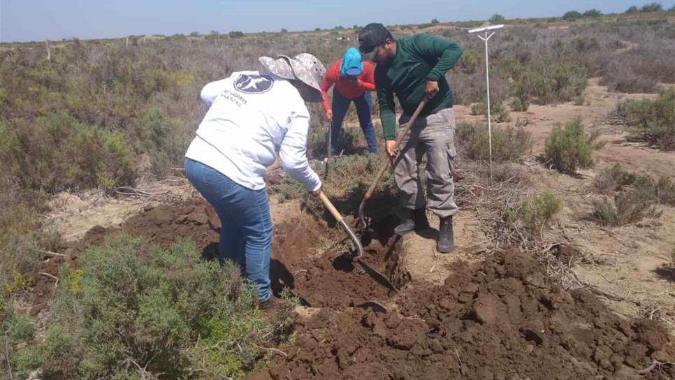 Rastreadoras por la Paz encuentran otro cuerpo en La Robalera