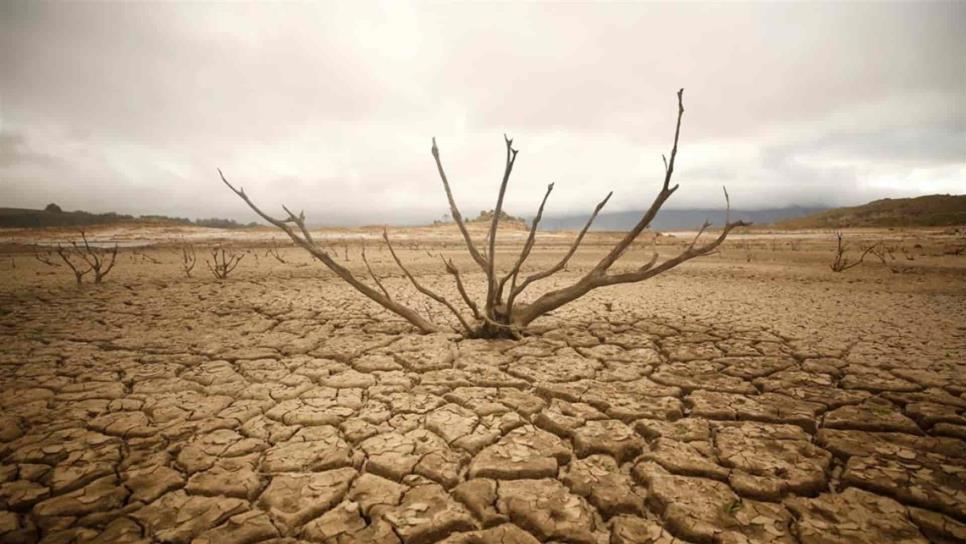 México, uno de los países con más riesgo a la desertificación
