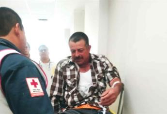 Hombre termina en el hospital al ser atacado por abejas