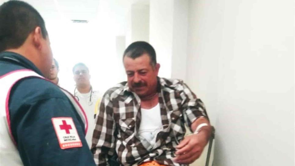 Hombre termina en el hospital al ser atacado por abejas