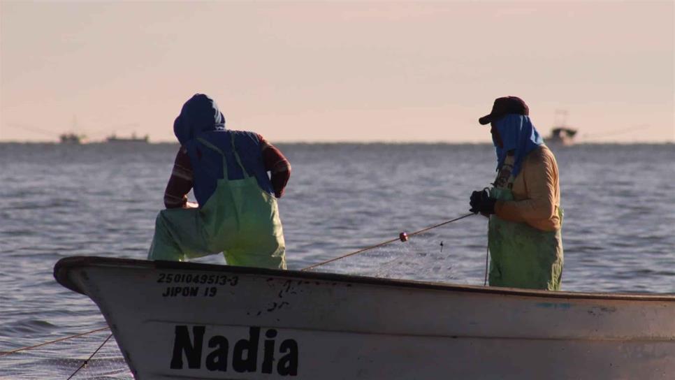 Pescadores de Lázaro Cárdenas rechazan apoyos del DIF Ahome