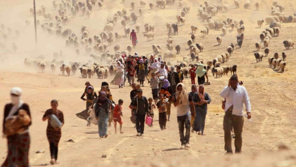 Cifra de desplazados en el mundo superó los 70 millones el año pasado