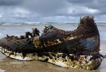 Intriga aparición de zapatos tenis en playas del Atlántico