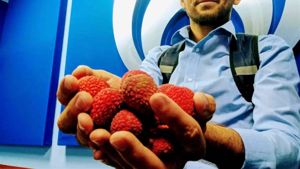 Sí es seguro comer lichis, aclara especialista