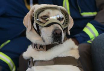 Marina jubila a Frida, la perrita rescatista del 19-S