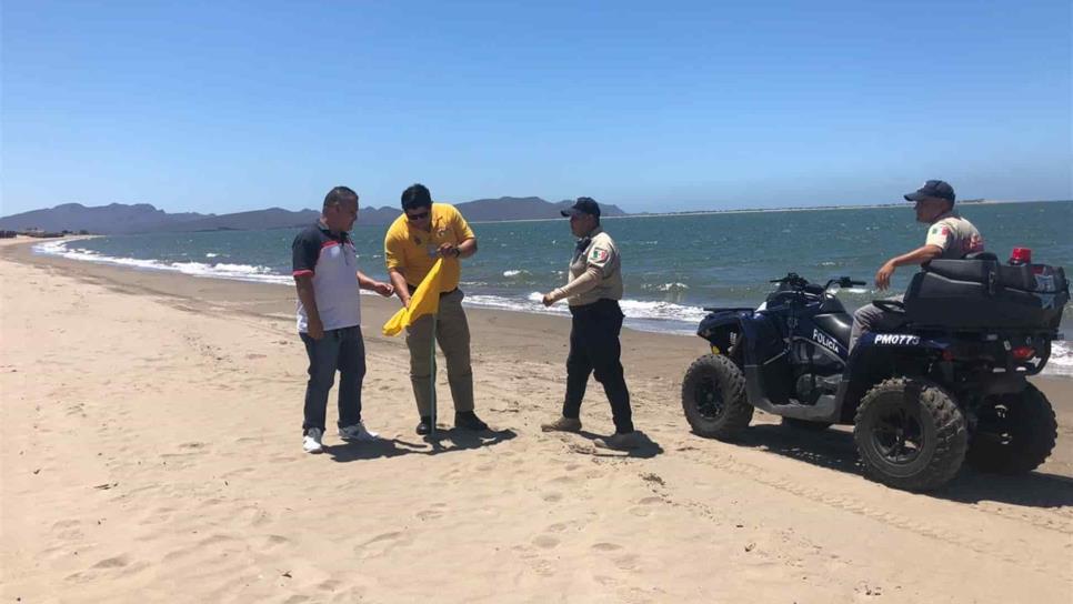 Bandera amarilla en El Maviri; disminuye presencia de aguamalas