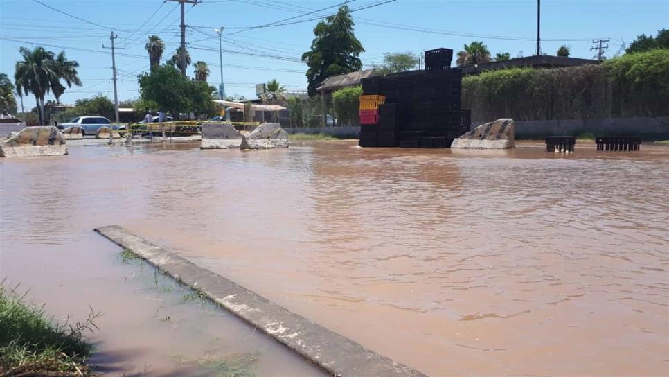 Se rompe tubería de agua y se inunda sector de Álamos 1