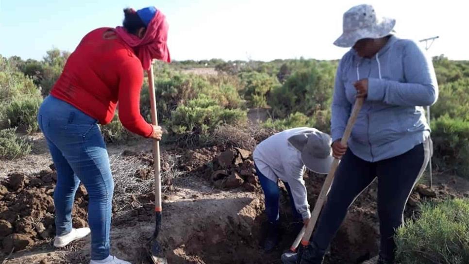 Encuentran una osamenta en Las Grullas Margen Derecha