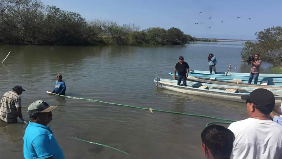 Atacará Conapesca comercialización de pesca furtiva