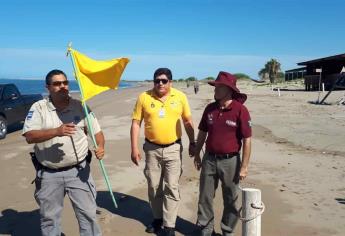 Libre de aguamalas la playa de El Maviri; PC retira banderas de peligro