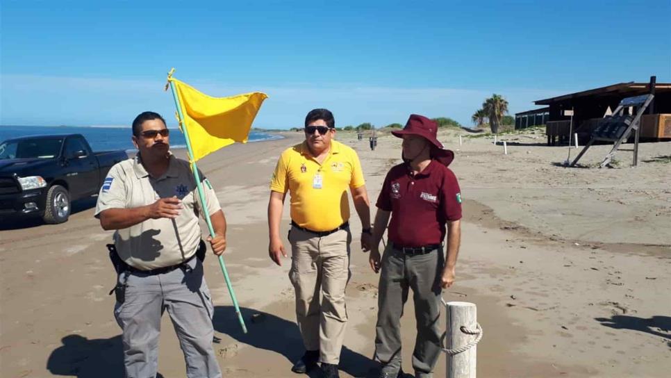 Libre de aguamalas la playa de El Maviri; PC retira banderas de peligro