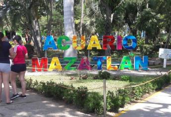 Cambiarán de nombre al Acuario Mazatlán