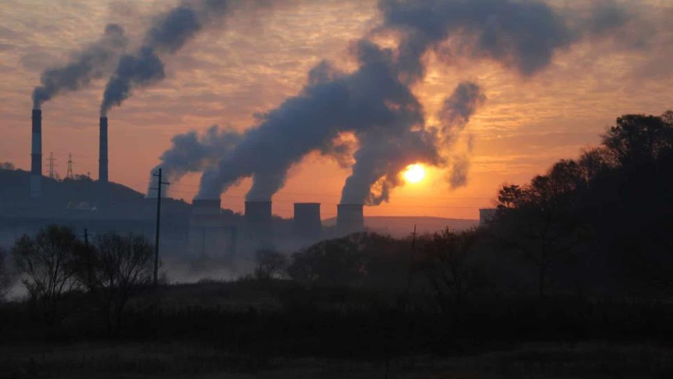 Emisiones sin control de CO2 podrían culminar en extinción masiva