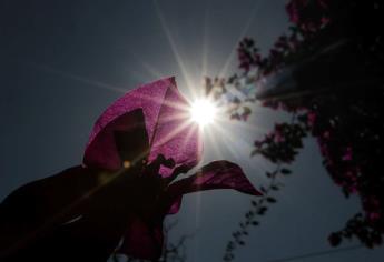 Alerta Protección Civil que la Canícula traerá temperaturas más intensas