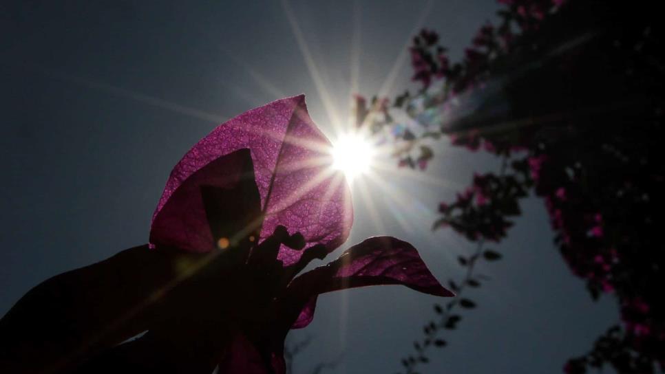 Alerta Protección Civil que la Canícula traerá temperaturas más intensas