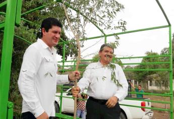 Entrega Sedesu 500 árboles para reforestar Desarrollo Urbano Tres Ríos