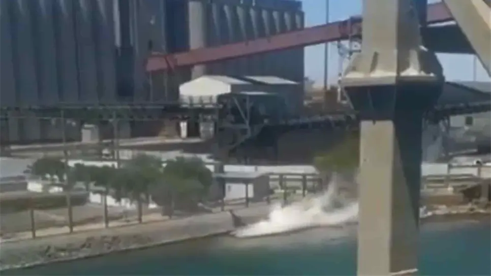 En días pasados la empresa Grupo México derramó ácido sulfúrico al Mar de Cortés, que se suma al incidente ocurrido antes en el río Sonora.