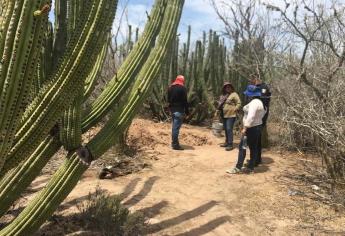 Localizan restos humanos entre El Guachapori y la Isla Santa María