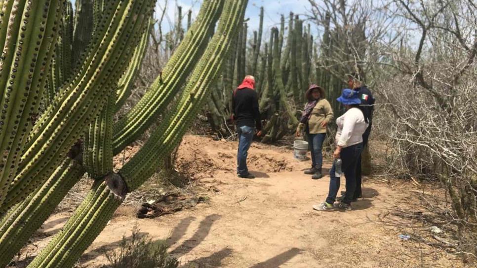 Localizan restos humanos entre El Guachapori y la Isla Santa María