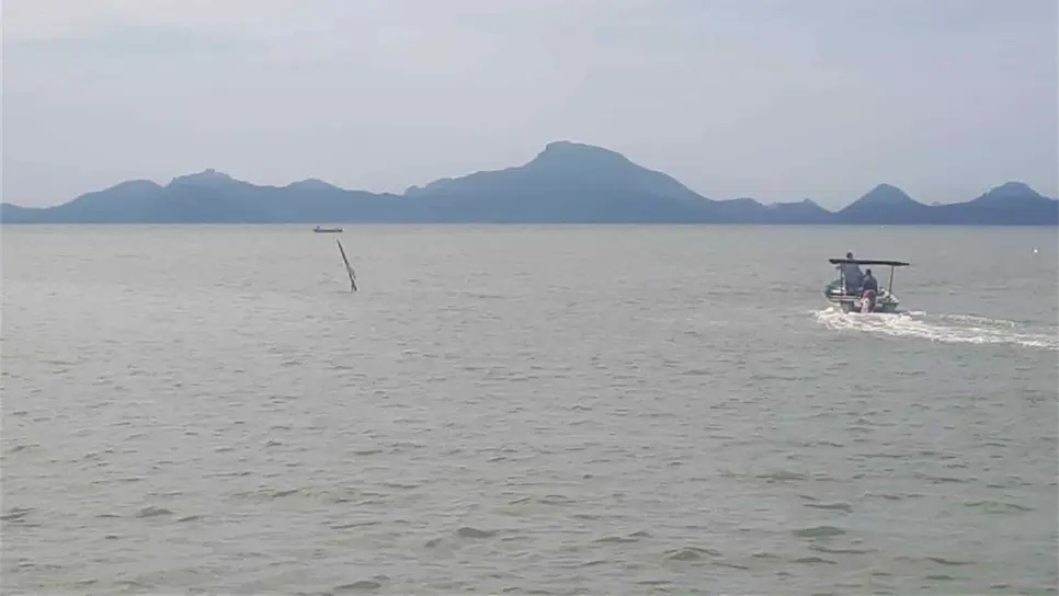 Denuncian captura furtiva de camarón en Paredones