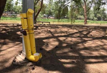 En Parque Las Riberas se alimentan a más de 200 perros de la calle