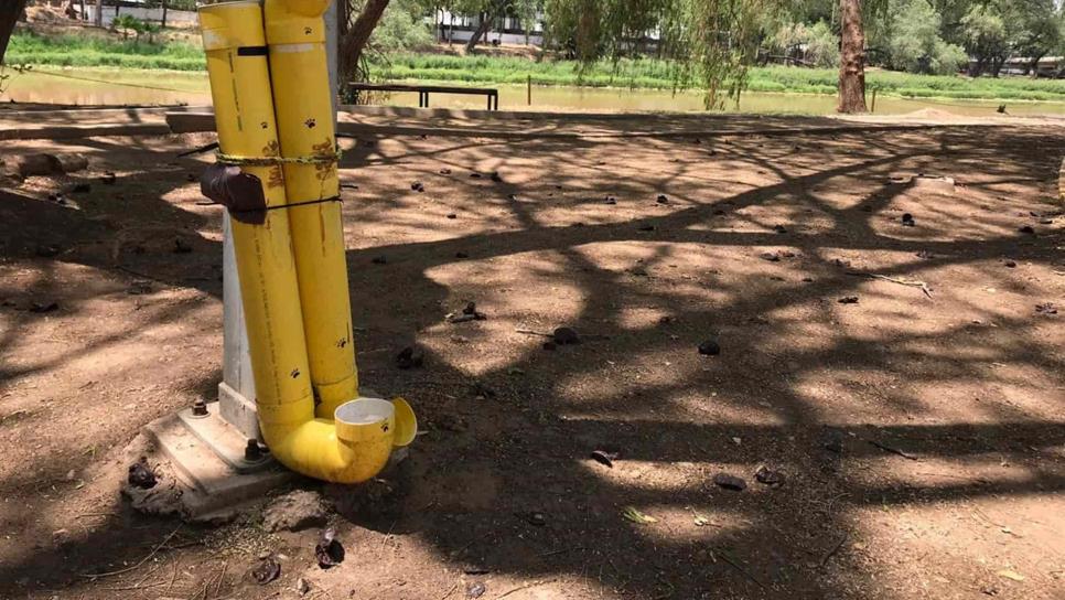 En Parque Las Riberas se alimentan a más de 200 perros de la calle