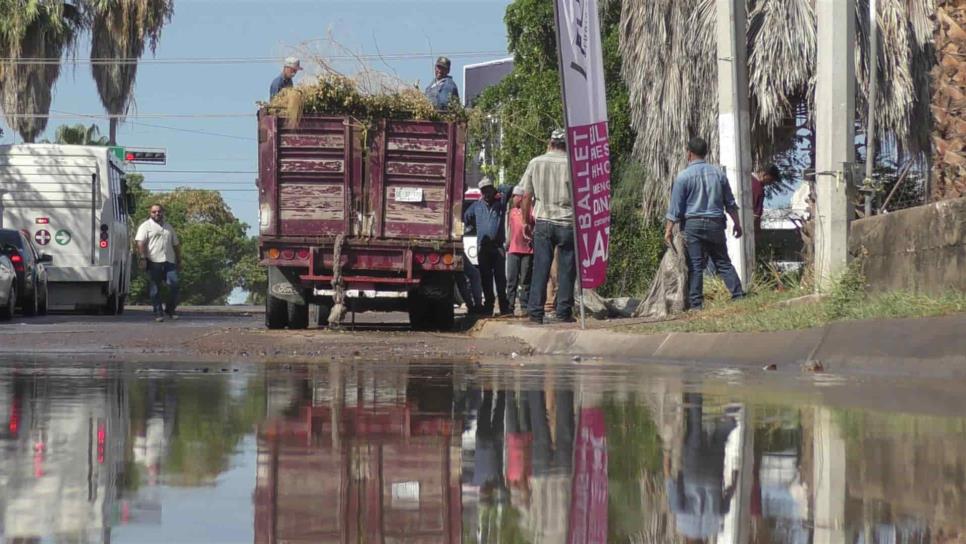 Despliega Servicios Públicos 150 trabajadores tras lluvia en Los Mochis