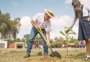Plantación masiva de árboles dañaría ecosistemas completos