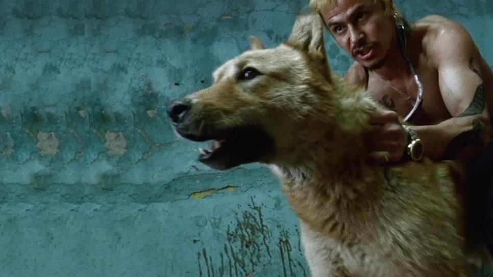 “Amores perros” marcó una era en el cine de habla hispana: Vanessa Bauche