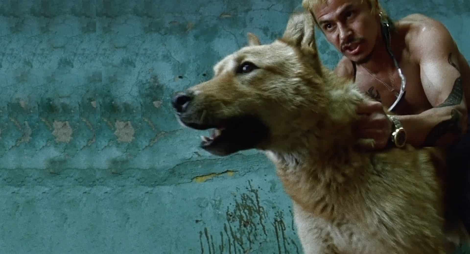 “Amores perros” marcó una era en el cine de habla hispana: Vanessa Bauche