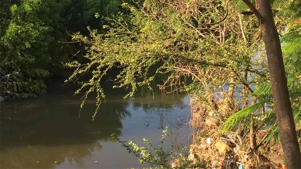 Triunfo ambientalista tiene en zozobra a colonos de Mazatlán