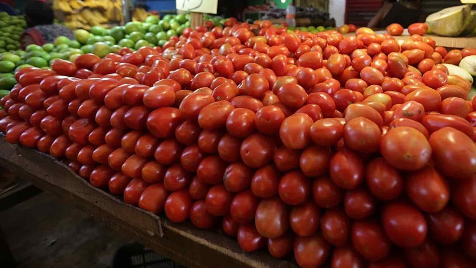 Esperarán investigación de EUA para resolver tema de tomate