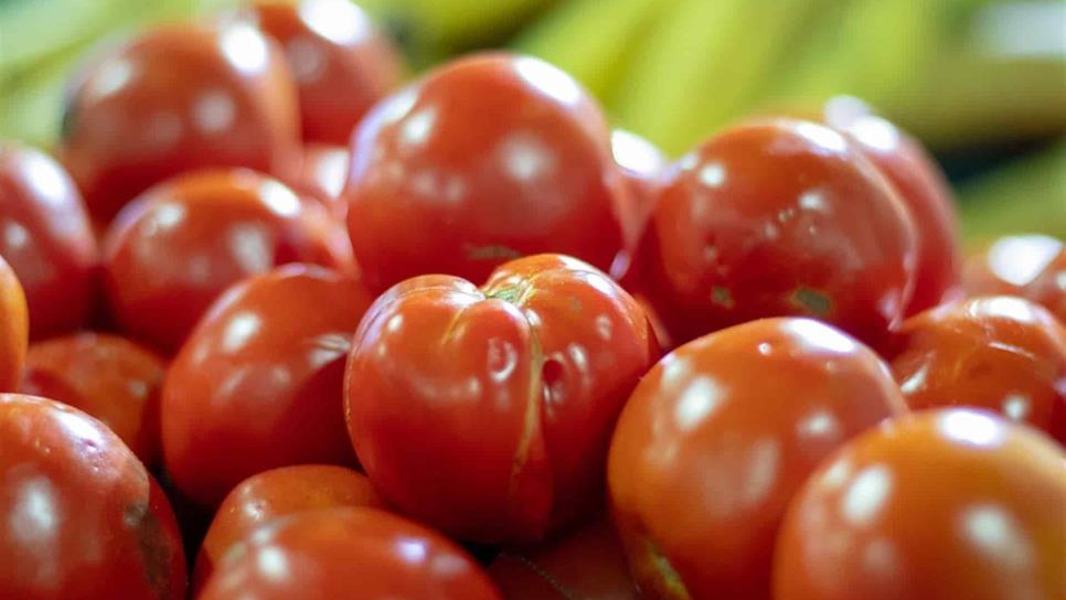 Beneplácito por acuerdos anti dumping al tomate: CAADES