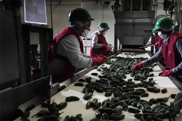 Destaca Ordaz Coppel alianza del gobierno estatal con la Iniciativa Privada Destaca Ordaz Coppel alianza del gobierno estatal con la Iniciativa Privada