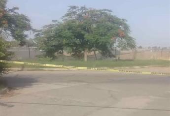 Hallan a mujer muerta en Culiacán; le dejan sapos atados al cuello