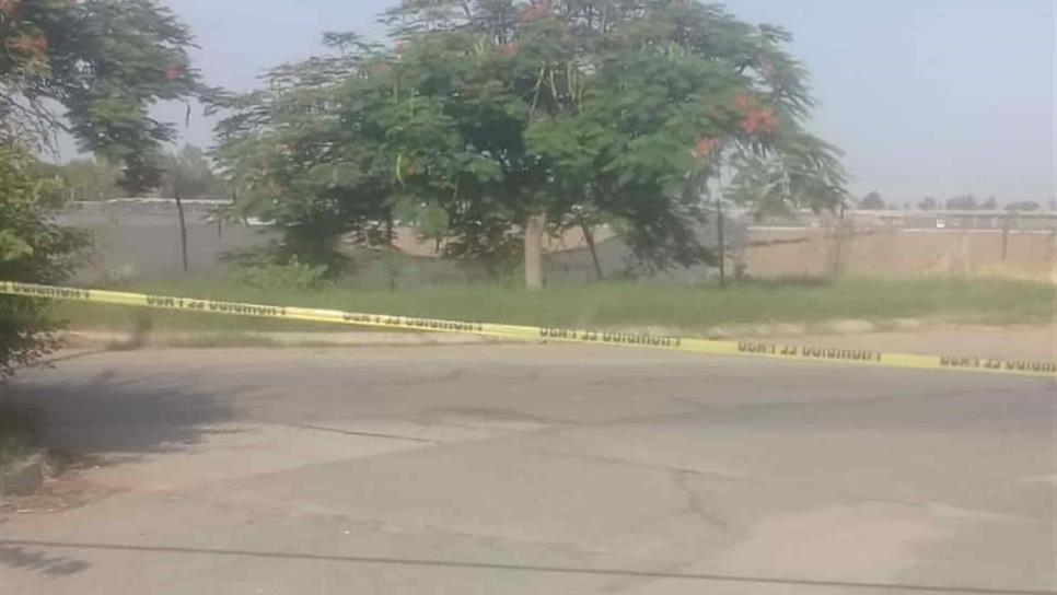 Hallan a mujer muerta en Culiacán; le dejan sapos atados al cuello