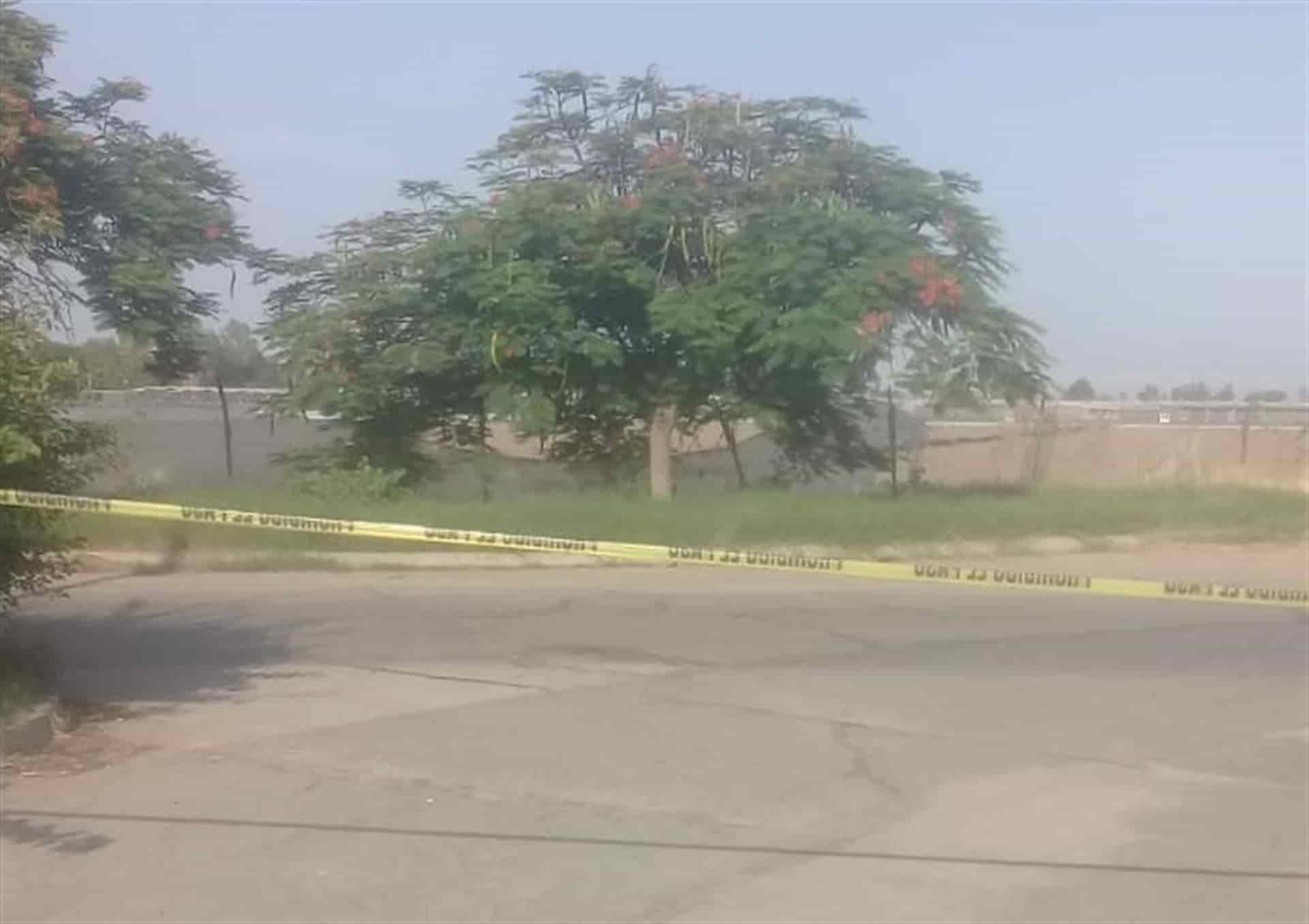 Hallan a mujer muerta en Culiacán; le dejan sapos atados al cuello