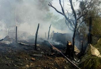 Incendio deja 19 cerdos muertos