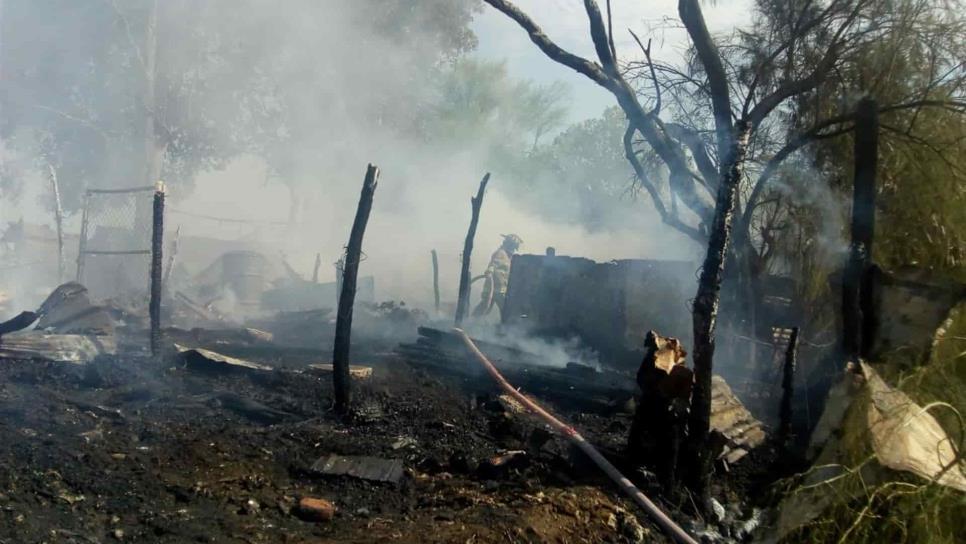 Incendio deja 19 cerdos muertos