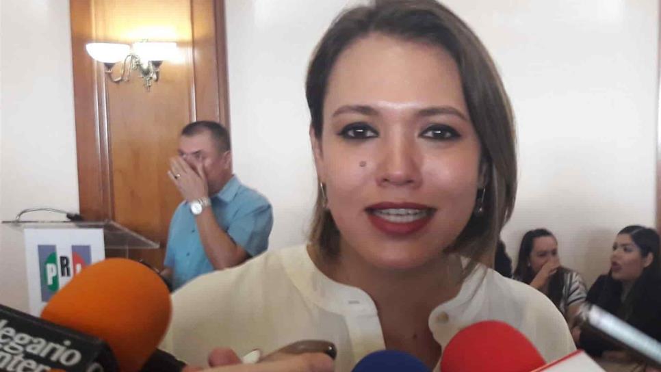 Gobierno Federal tiene más de 100 mil mdp en subejercicios: Érika Sánchez