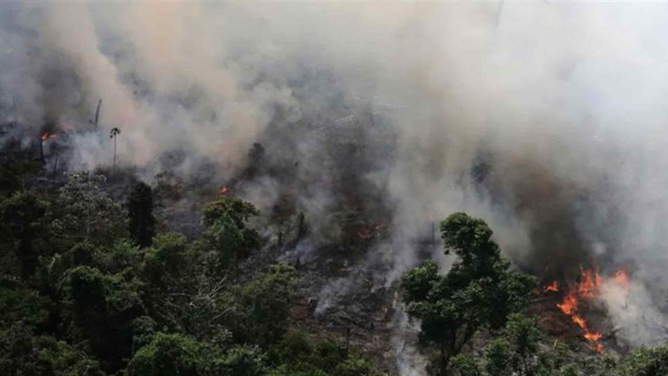 Reportan el mayor número de incendios en el Amazonas en seis años