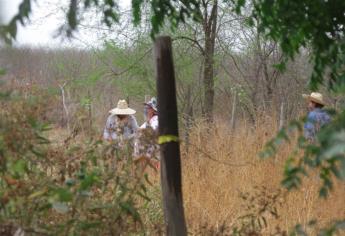 Localizan fosa con tres osamentas al sur de Culiacán